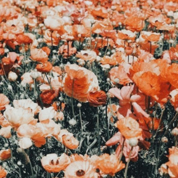 Meet your Posher, Vanessa - Picture 1 of 1